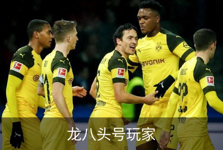了解龙八头号玩家